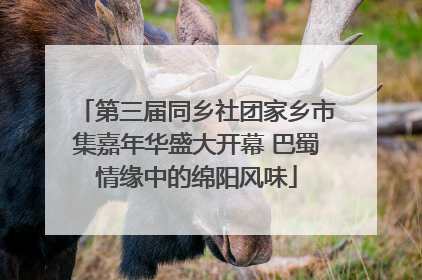 第三届同乡社团家乡市集嘉年华盛大开幕 巴蜀情缘中的绵阳风味