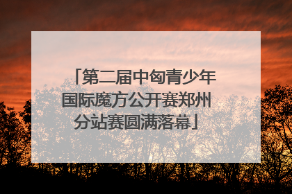 第二届中匈青少年国际魔方公开赛郑州分站赛圆满落幕