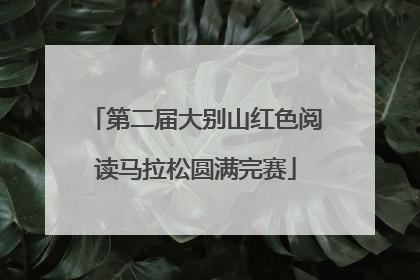 第二届大别山红色阅读马拉松圆满完赛