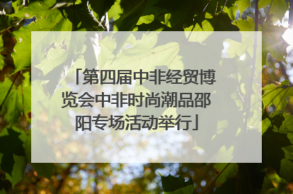 第四届中非经贸博览会中非时尚潮品邵阳专场活动举行