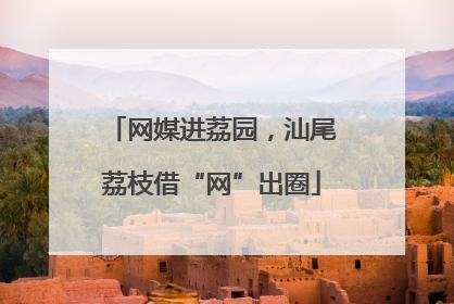 网媒进荔园，汕尾荔枝借“网”出圈