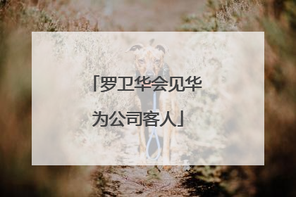 罗卫华会见华为公司客人