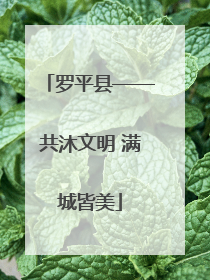 罗平县——共沐文明 满城皆美