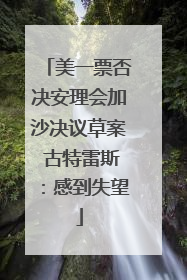 美一票否决安理会加沙决议草案 古特雷斯：感到失望