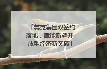 美克集团双签约落地，赋能新疆开放型经济新突破
