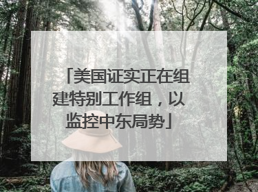 美国证实正在组建特别工作组，以监控中东局势