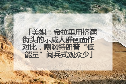 美媒：希拉里用挤满街头的示威人群画面作对比，嘲讽特朗普“低能量”阅兵式观众少