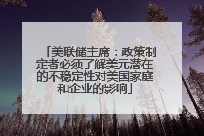 美联储主席：政策制定者必须了解美元潜在的不稳定性对美国家庭和企业的影响