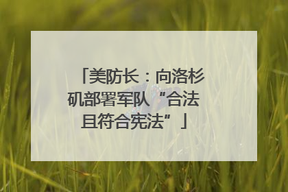 美防长：向洛杉矶部署军队“合法且符合宪法”