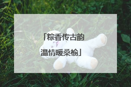 粽香传古韵 温情暖桑榆