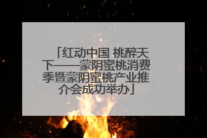 红动中国 桃醉天下——蒙阴蜜桃消费季暨蒙阴蜜桃产业推介会成功举办