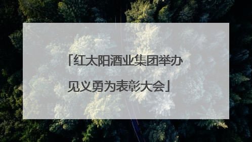 红太阳酒业集团举办见义勇为表彰大会