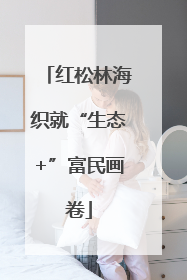 红松林海织就“生态+”富民画卷