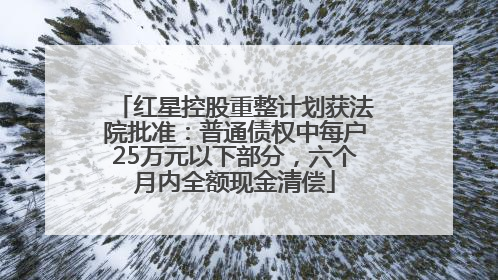 红星控股重整计划获法院批准：普通债权中每户25万元以下部分，六个月内全额现金清偿