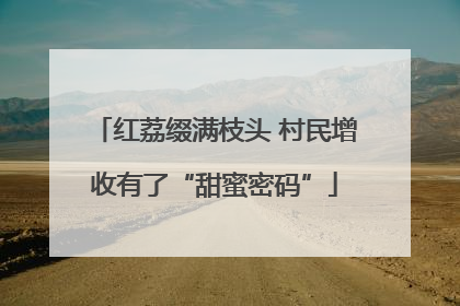 红荔缀满枝头 村民增收有了“甜蜜密码”