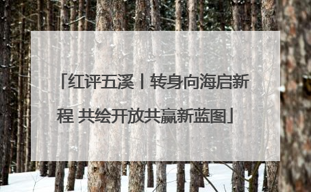 红评五溪丨转身向海启新程 共绘开放共赢新蓝图