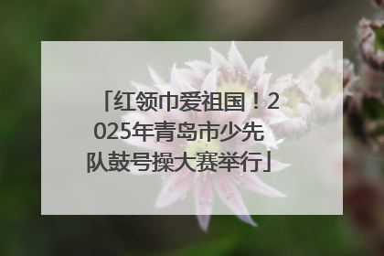 红领巾爱祖国！2025年青岛市少先队鼓号操大赛举行