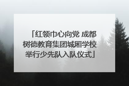红领巾心向党 成都树德教育集团城厢学校举行少先队入队仪式
