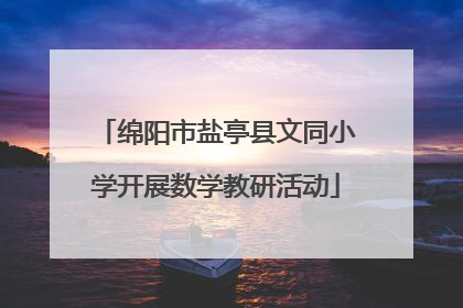 绵阳市盐亭县文同小学开展数学教研活动