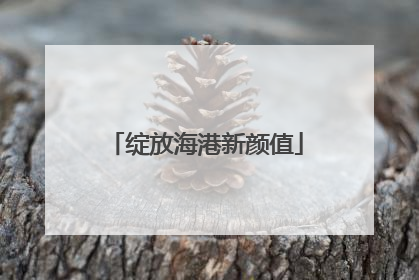 绽放海港新颜值