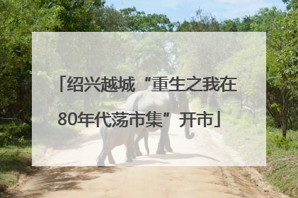 绍兴越城“重生之我在80年代荡市集”开市