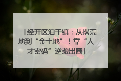 经开区泊于镇：从撂荒地到“金土地”！靠“人才密码”逆袭出圈