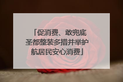 促消费、敢兜底 圣都整装多措并举护航居民安心消费