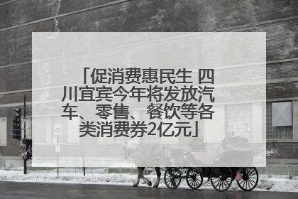 促消费惠民生 四川宜宾今年将发放汽车、零售、餐饮等各类消费券2亿元