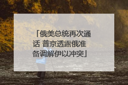 俄美总统再次通话 普京透露俄准备调解伊以冲突