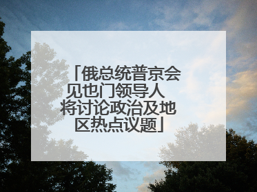 俄总统普京会见也门领导人 将讨论政治及地区热点议题