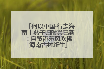 何以中国·行走海南丨燕子归时巢已新：自贸港东风吹拂 海南古村新生