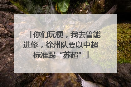 你们玩梗，我去鲁能进修，徐州队要以中超标准踢“苏超”