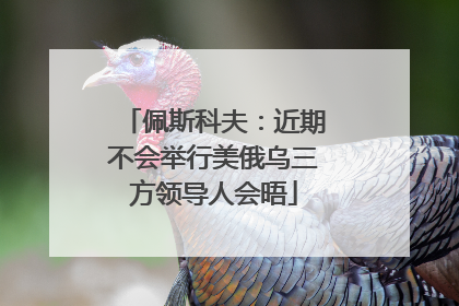 佩斯科夫：近期不会举行美俄乌三方领导人会晤