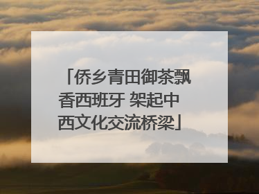 侨乡青田御茶飘香西班牙 架起中西文化交流桥梁