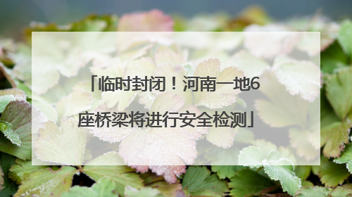 临时封闭！河南一地6座桥梁将进行安全检测