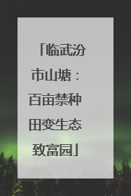 临武汾市山塘：百亩禁种田变生态致富园