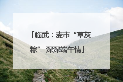 临武：麦市“草灰粽” 深深端午情