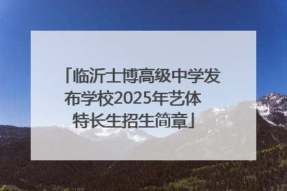 临沂士博高级中学发布学校2025年艺体特长生招生简章