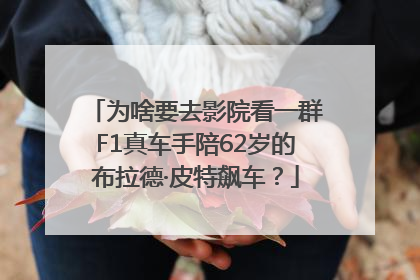 为啥要去影院看一群F1真车手陪62岁的布拉德·皮特飙车？