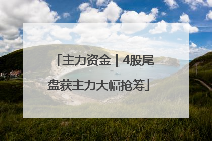 主力资金｜4股尾盘获主力大幅抢筹
