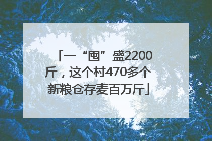 一“囤”盛2200斤，这个村470多个新粮仓存麦百万斤