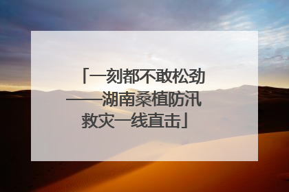 一刻都不敢松劲——湖南桑植防汛救灾一线直击