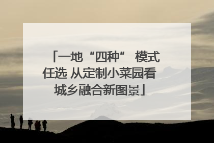 一地“四种” 模式任选 从定制小菜园看城乡融合新图景