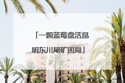 一颗蓝莓盘活昆明东川尾矿困局