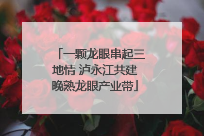 一颗龙眼串起三地情 泸永江共建晚熟龙眼产业带
