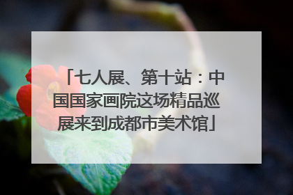 七人展、第十站：中国国家画院这场精品巡展来到成都市美术馆