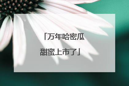 万年哈密瓜甜蜜上市了