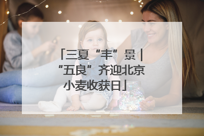 三夏“丰”景｜“五良”齐迎北京小麦收获日