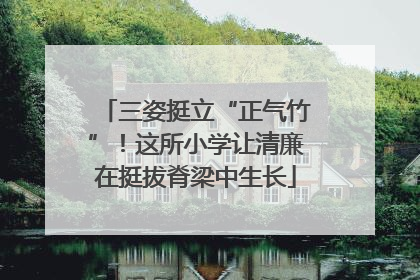 三姿挺立“正气竹”！这所小学让清廉在挺拔脊梁中生长