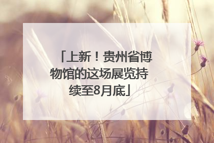 上新！贵州省博物馆的这场展览持续至8月底